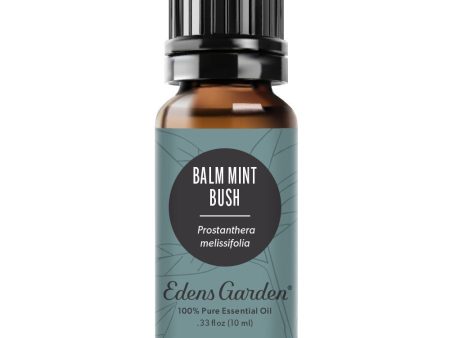 Balm Mint Bush Essential Oil Cheap