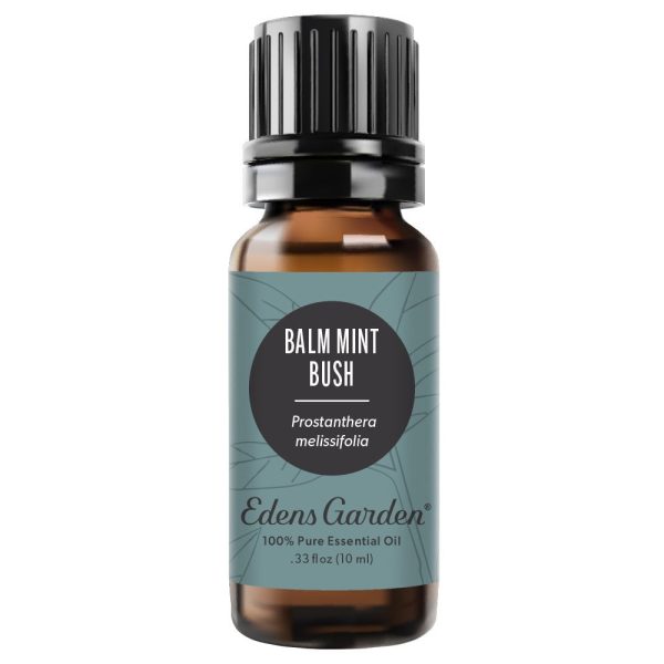 Balm Mint Bush Essential Oil Cheap