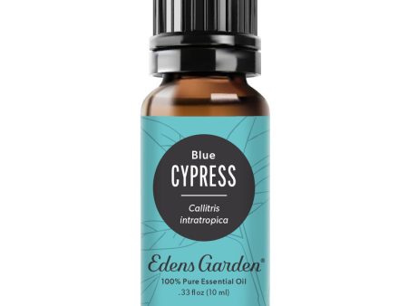 Cypress- Blue Essential Oil Online Sale