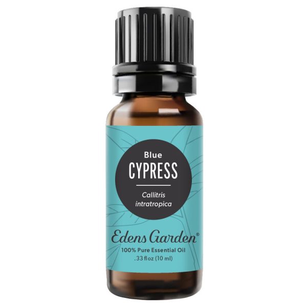 Cypress- Blue Essential Oil Online Sale