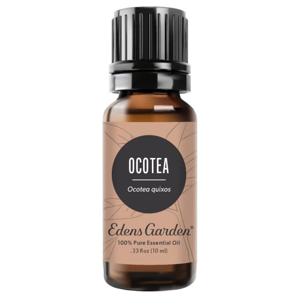 Ocotea Essential Oil For Cheap