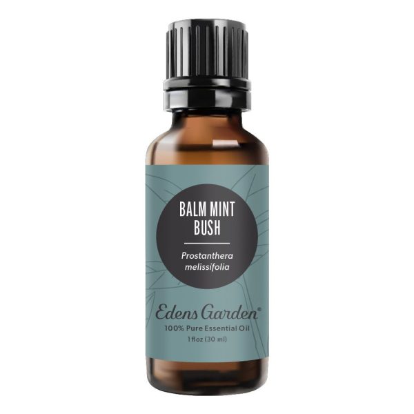 Balm Mint Bush Essential Oil Cheap